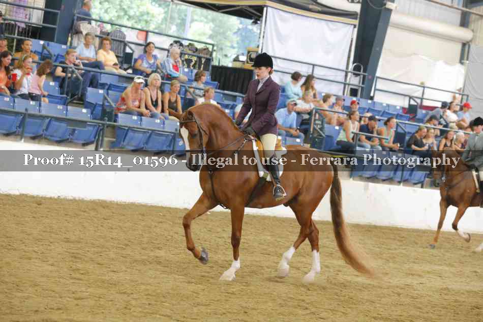 Proof 15R14_01596
