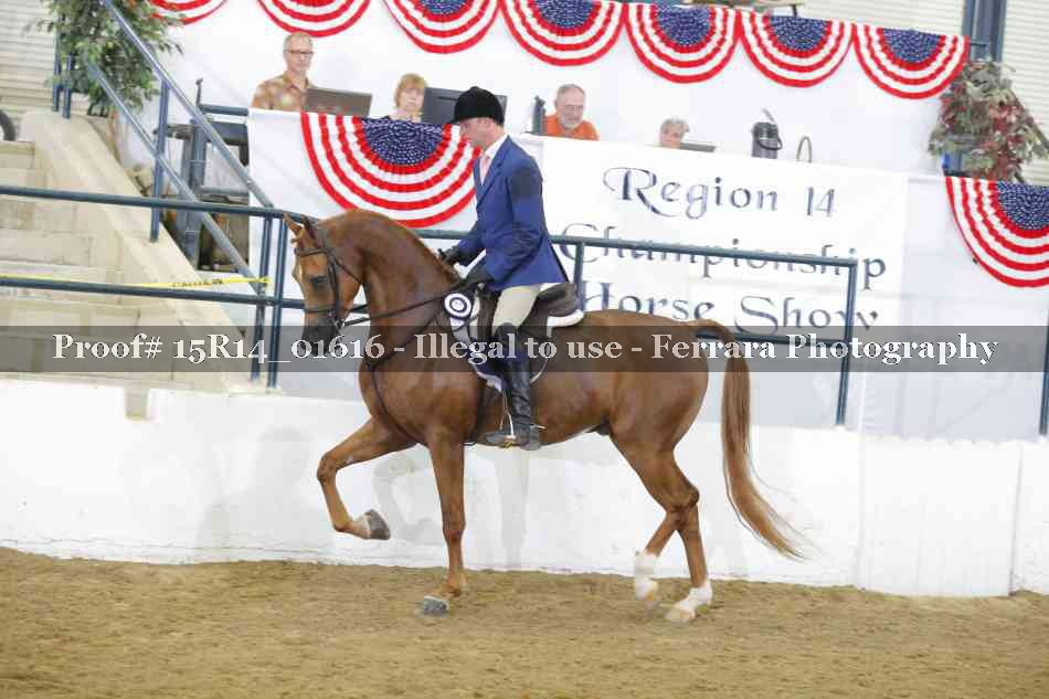 Proof 15R14_01616