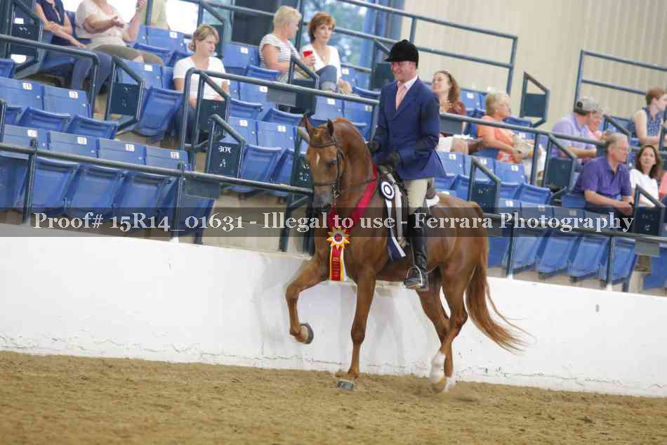 Proof 15R14_01631