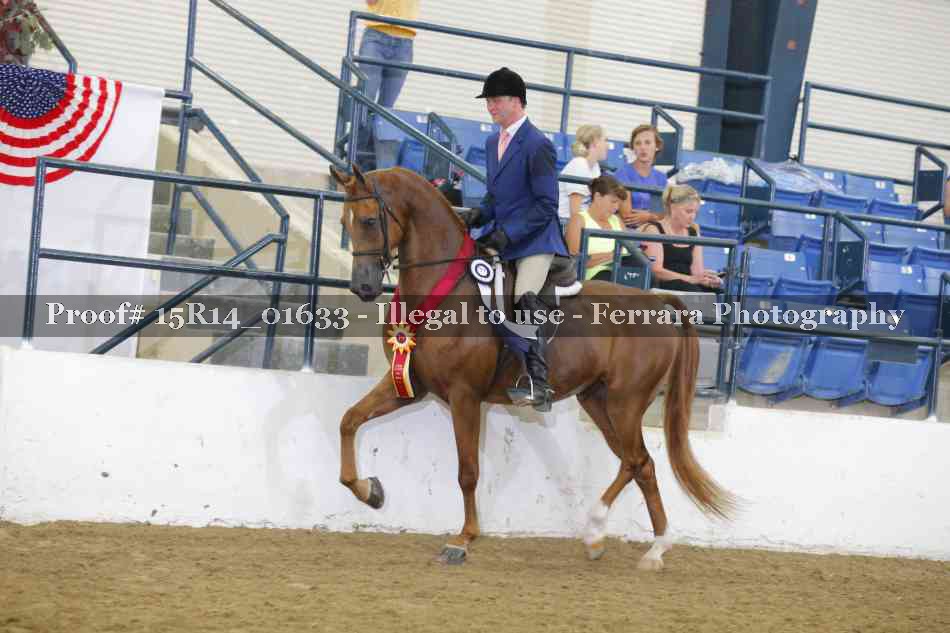 Proof 15R14_01633