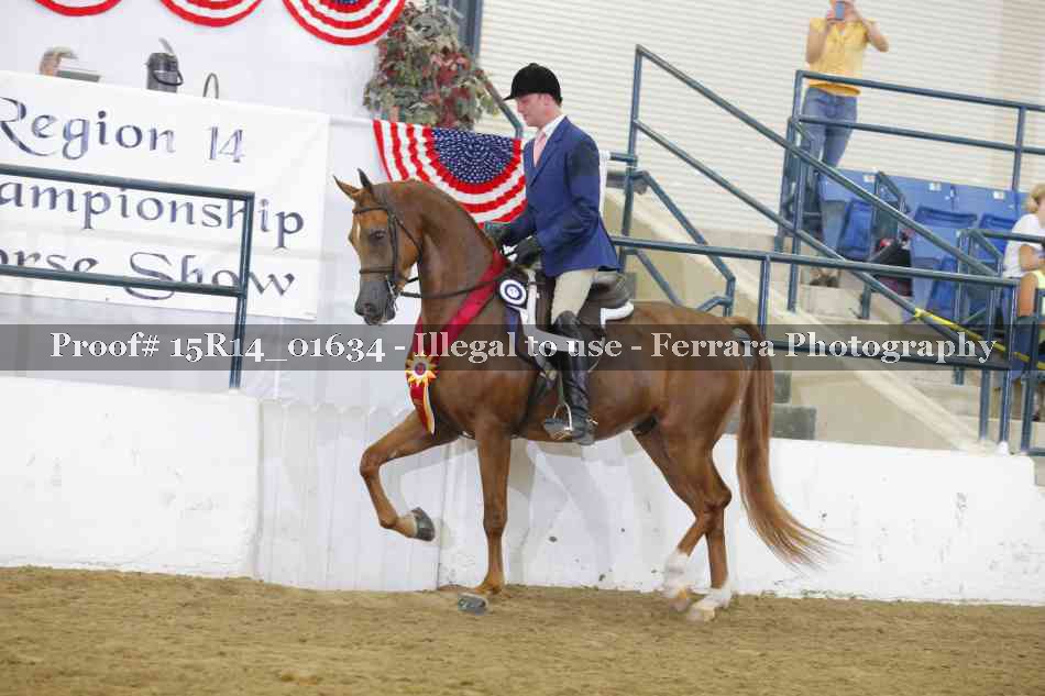 Proof 15R14_01634