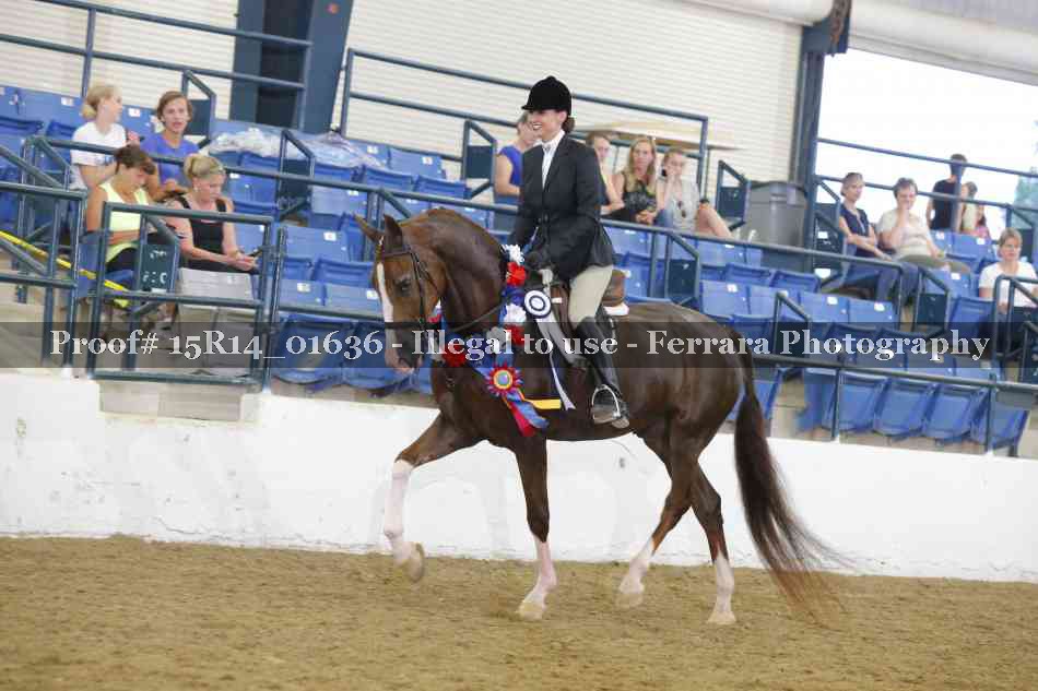 Proof 15R14_01636