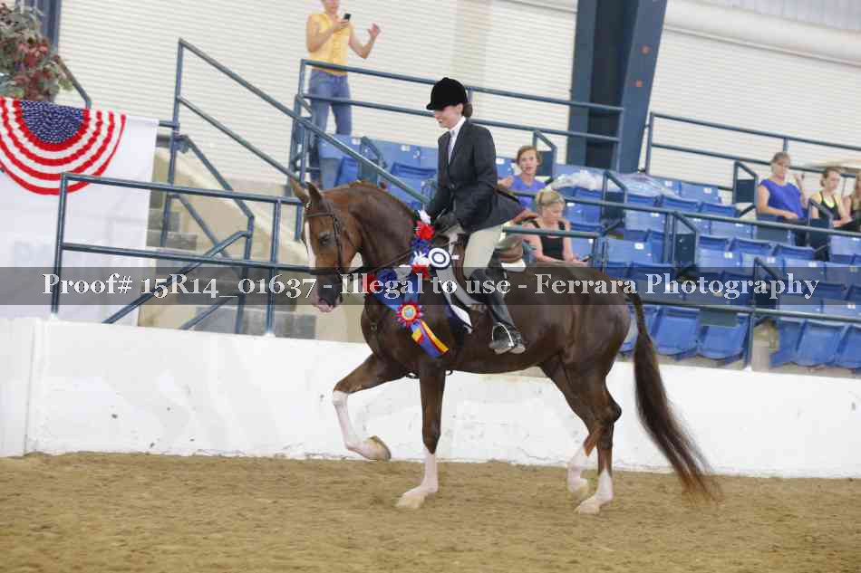 Proof 15R14_01637