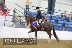 15R14_01637 proof