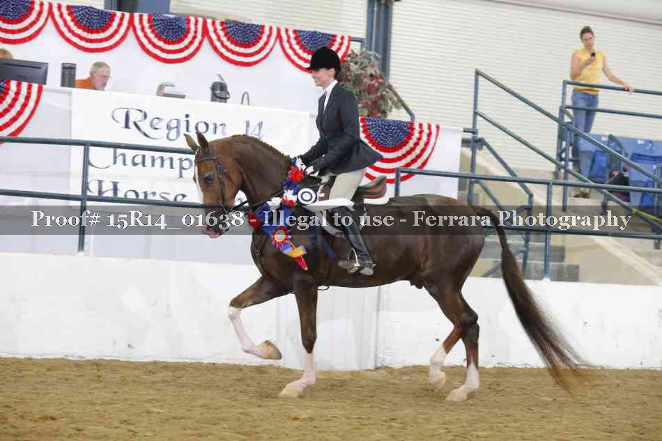 Proof 15R14_01638