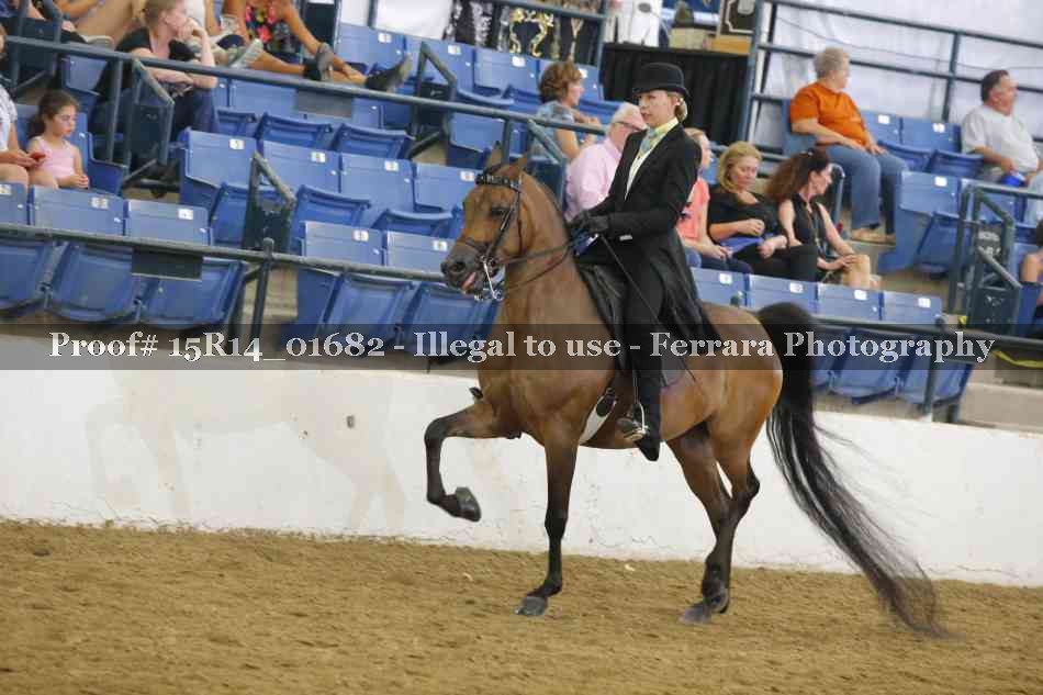 Proof 15R14_01682