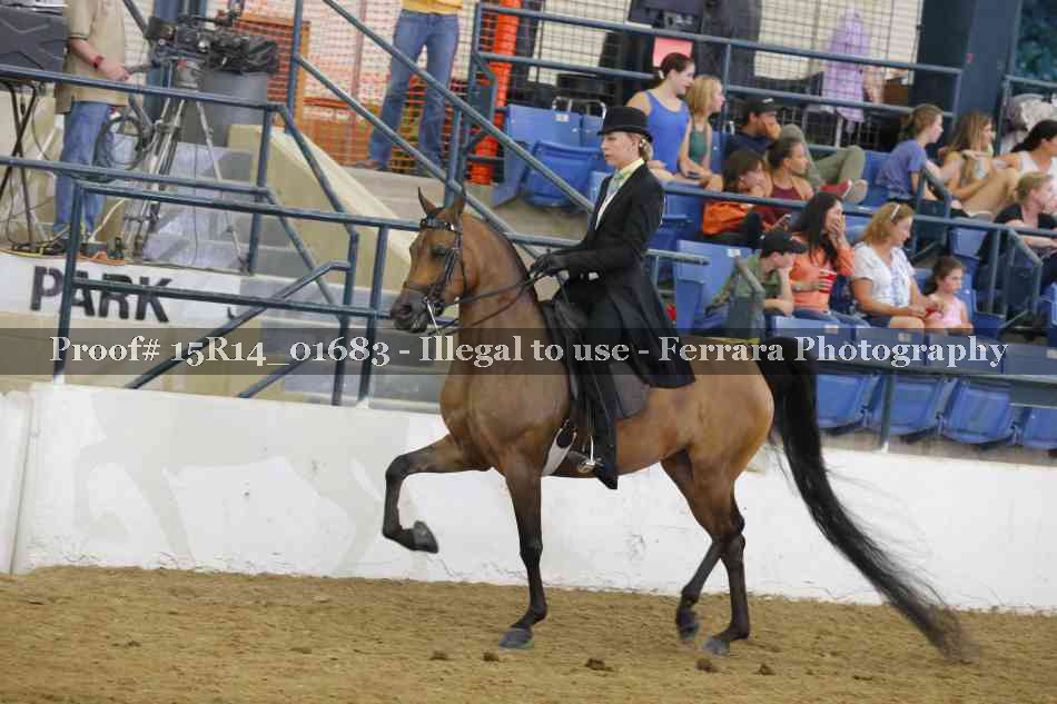 Proof 15R14_01683