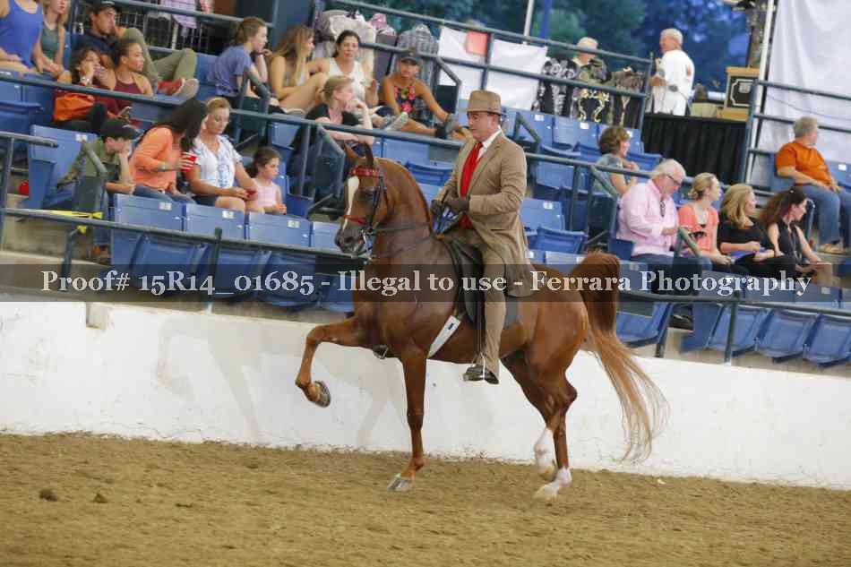 Proof 15R14_01685