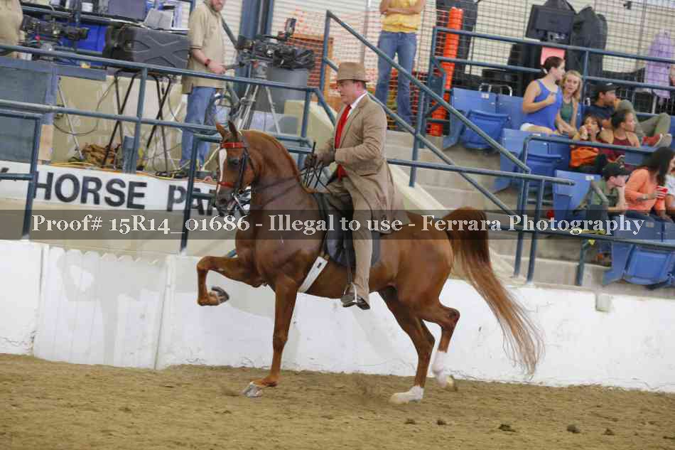 Proof 15R14_01686