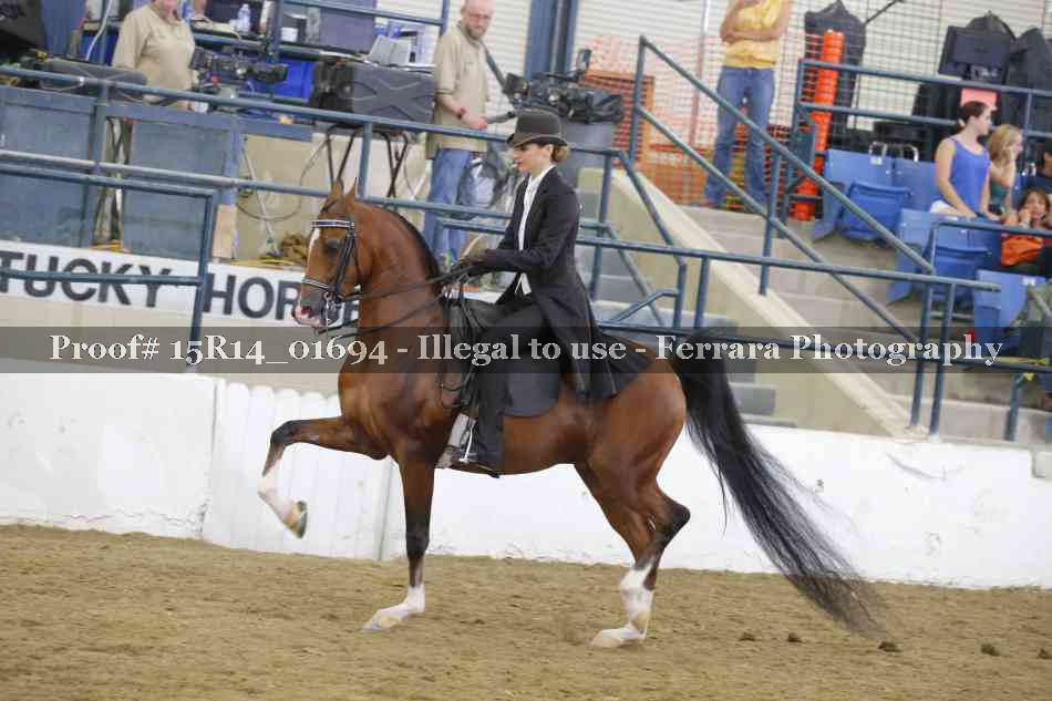 Proof 15R14_01694