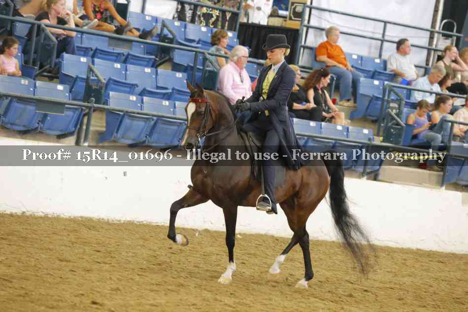Proof 15R14_01696