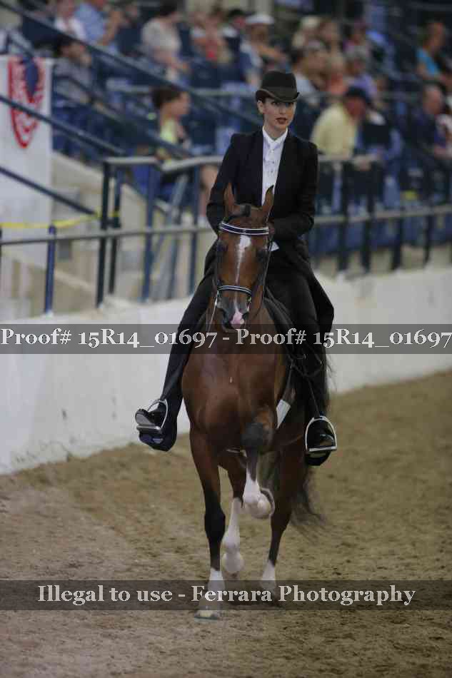 Proof 15R14_01697