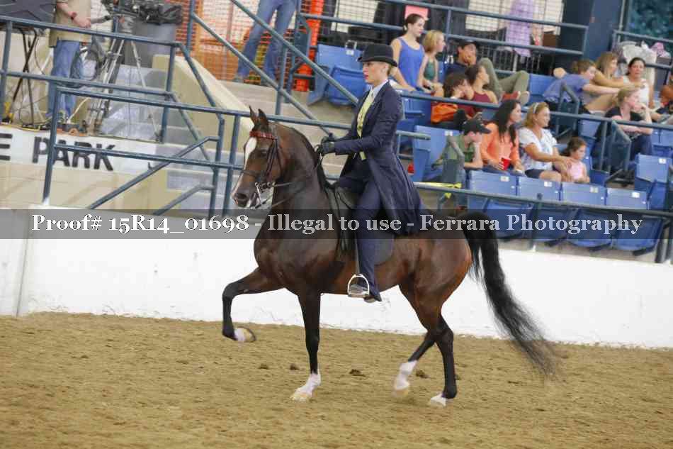 Proof 15R14_01698