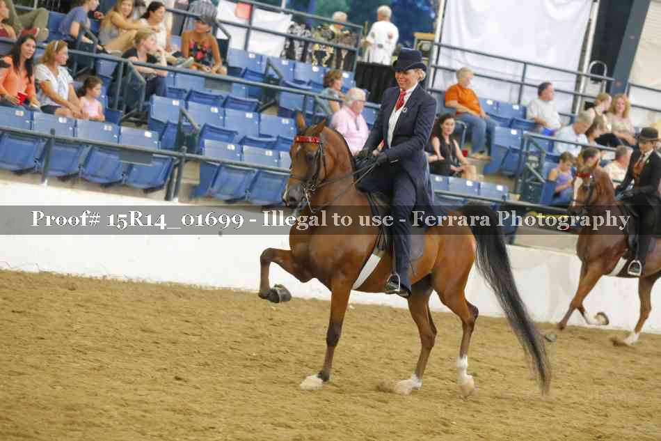 Proof 15R14_01699