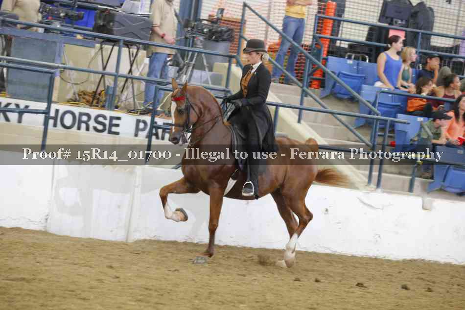 Proof 15R14_01700