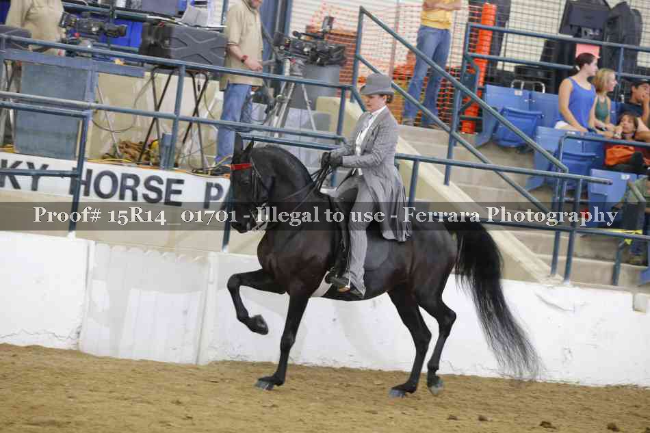 Proof 15R14_01701