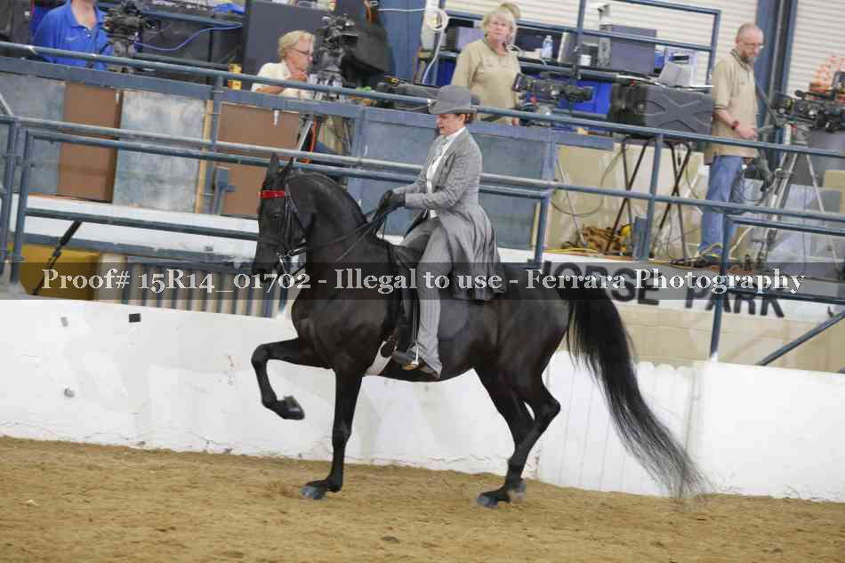 Proof 15R14_01702