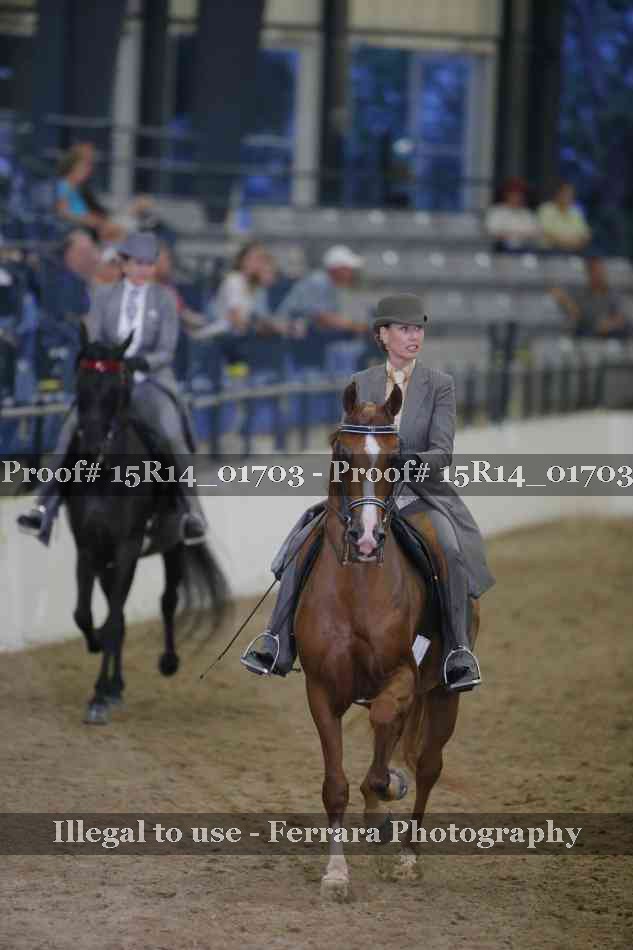 Proof 15R14_01703