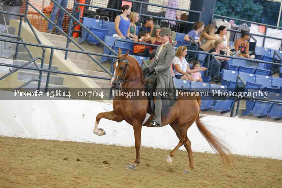 Proof 15R14_01704