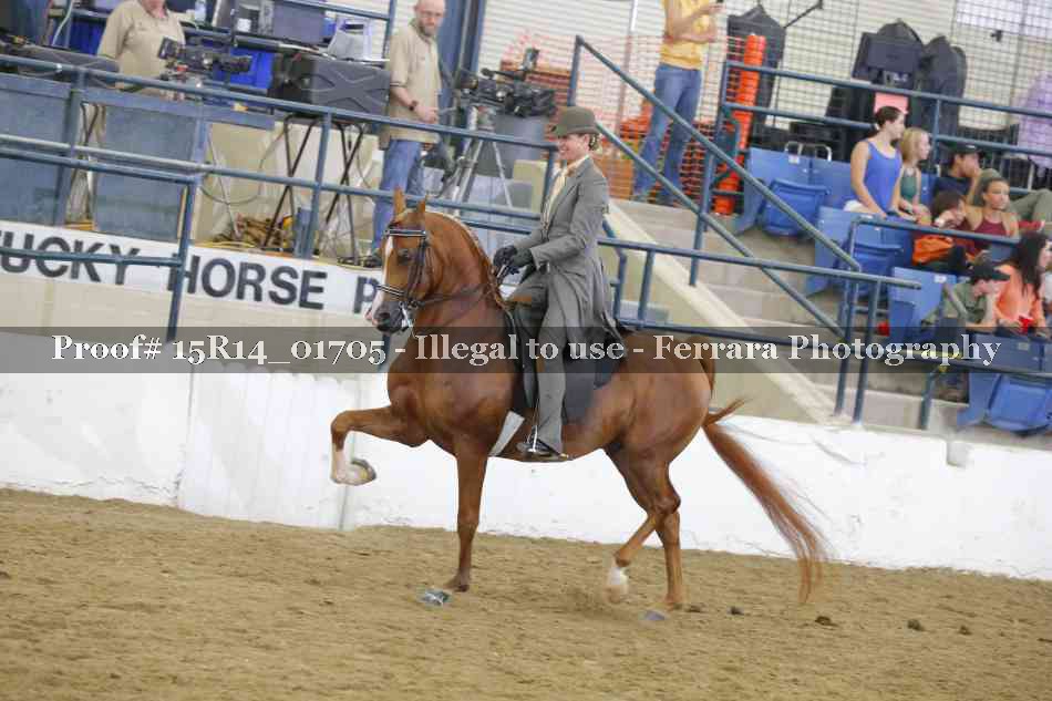 Proof 15R14_01705
