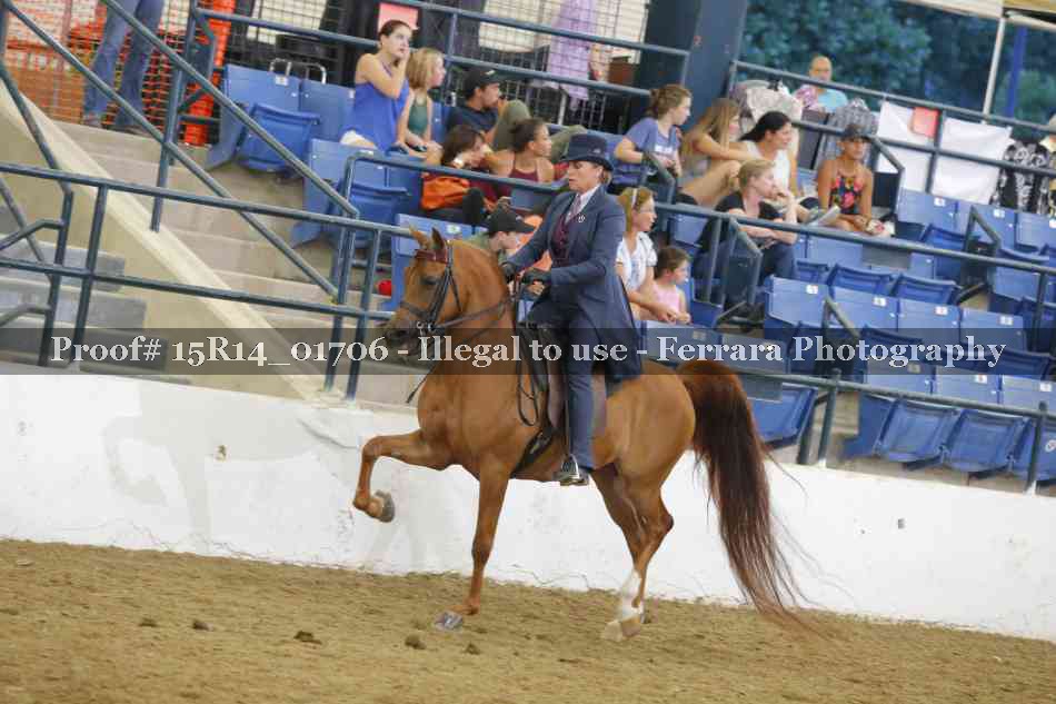 Proof 15R14_01706