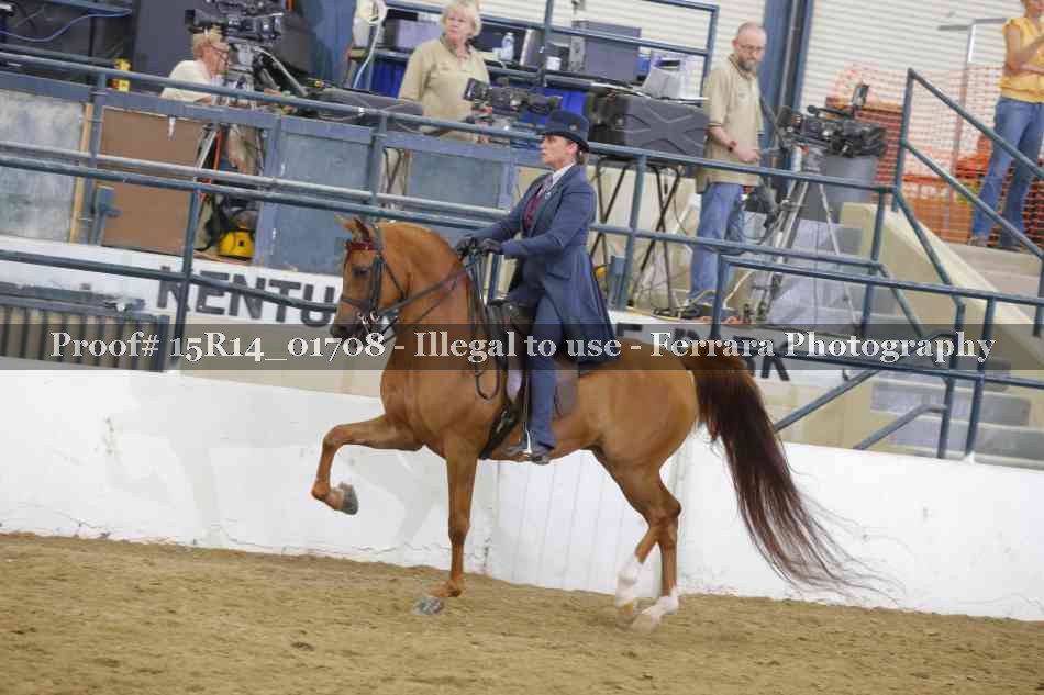 Proof 15R14_01708