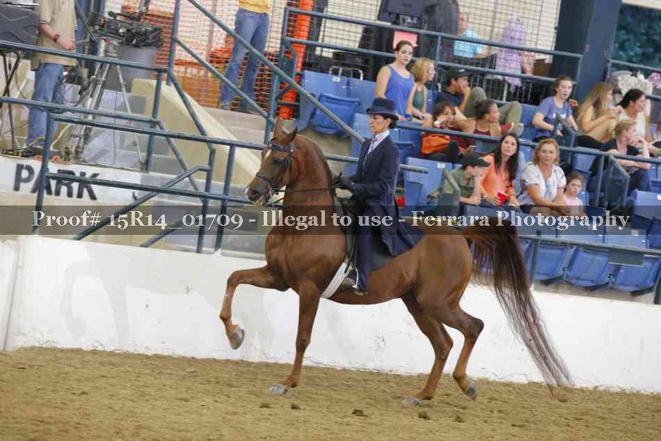 Proof 15R14_01709