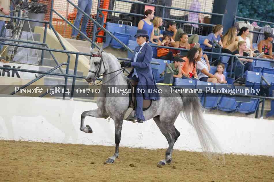 Proof 15R14_01710