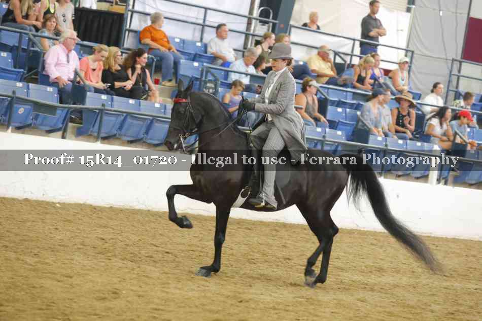 Proof 15R14_01720