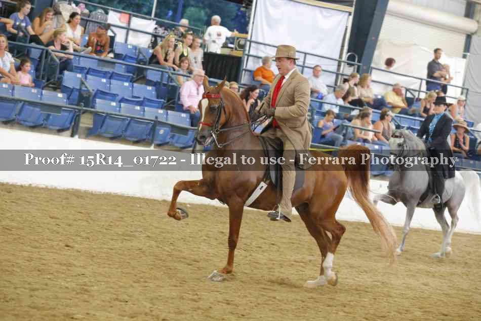 Proof 15R14_01722