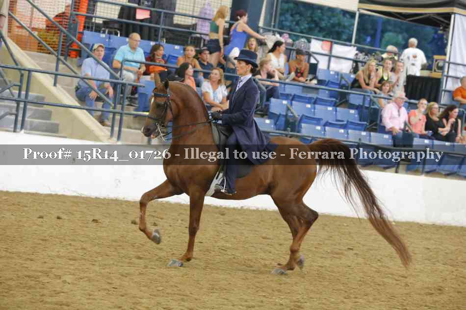 Proof 15R14_01726
