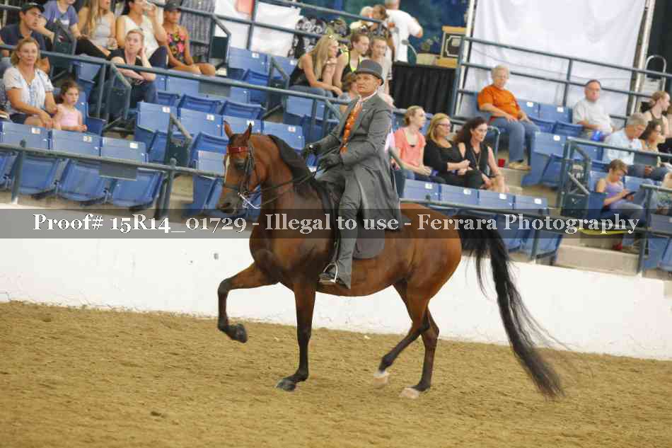 Proof 15R14_01729