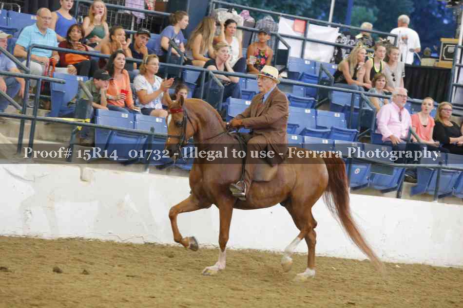 Proof 15R14_01732