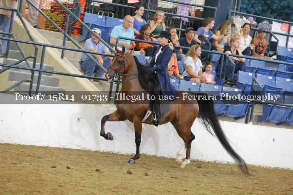 Proof 15R14_01733