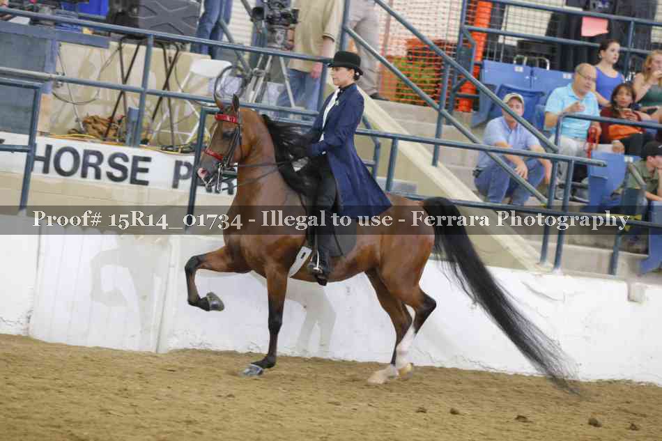 Proof 15R14_01734