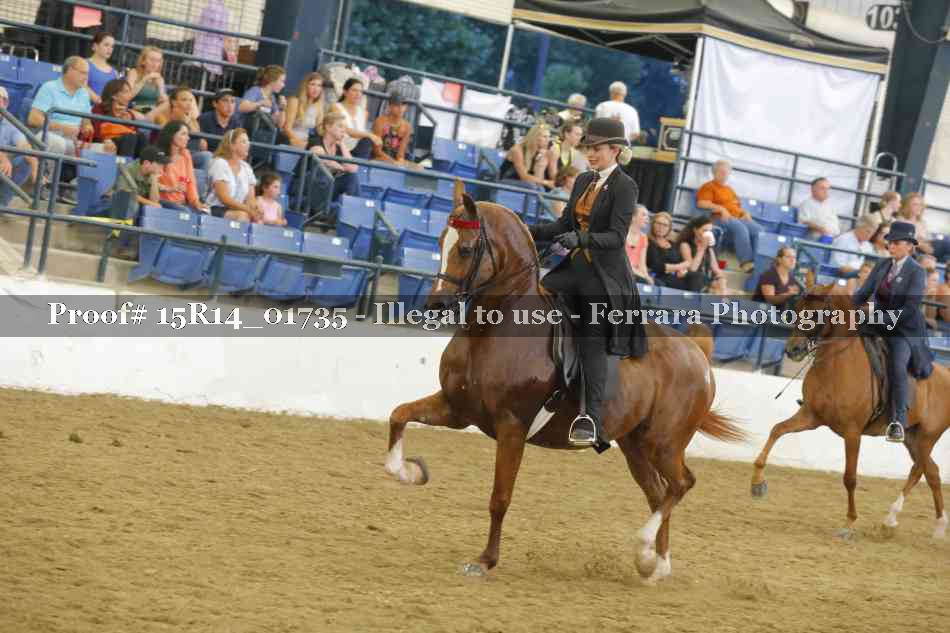Proof 15R14_01735