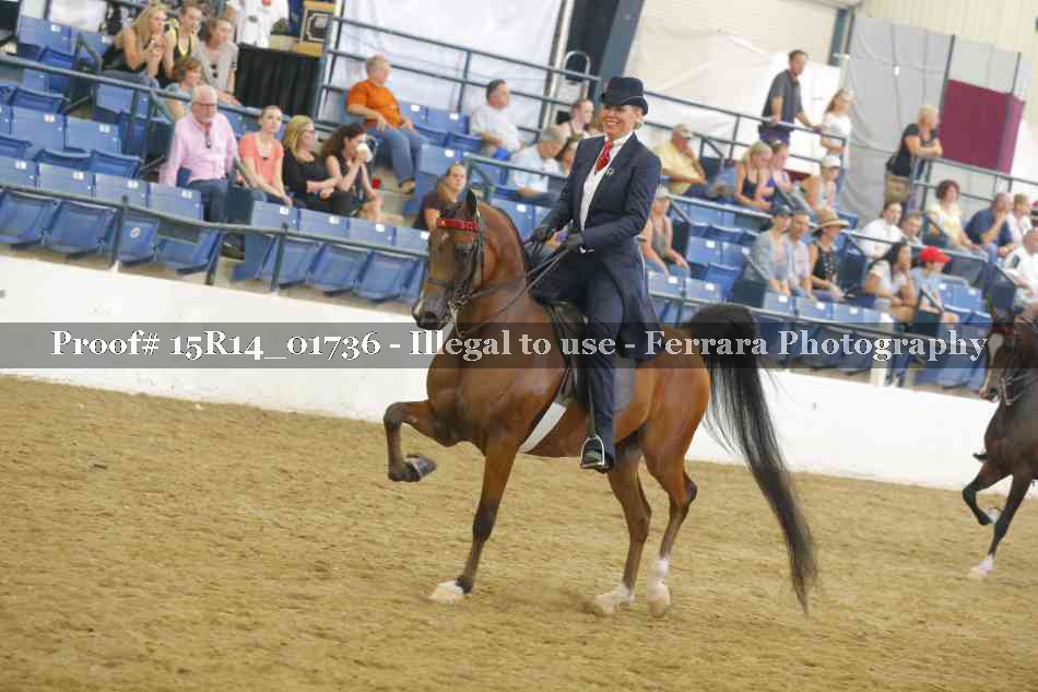 Proof 15R14_01736