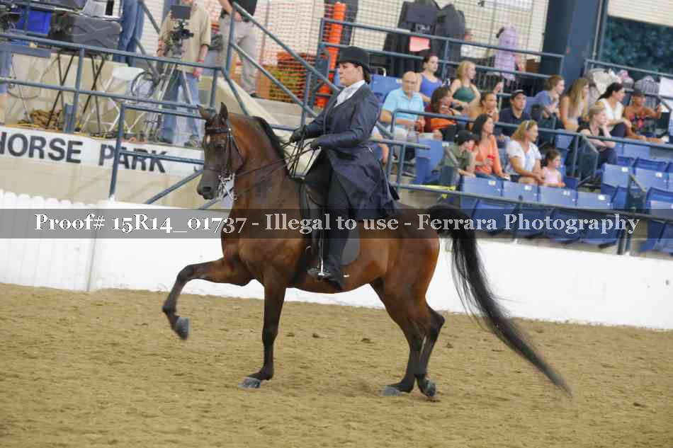 Proof 15R14_01737