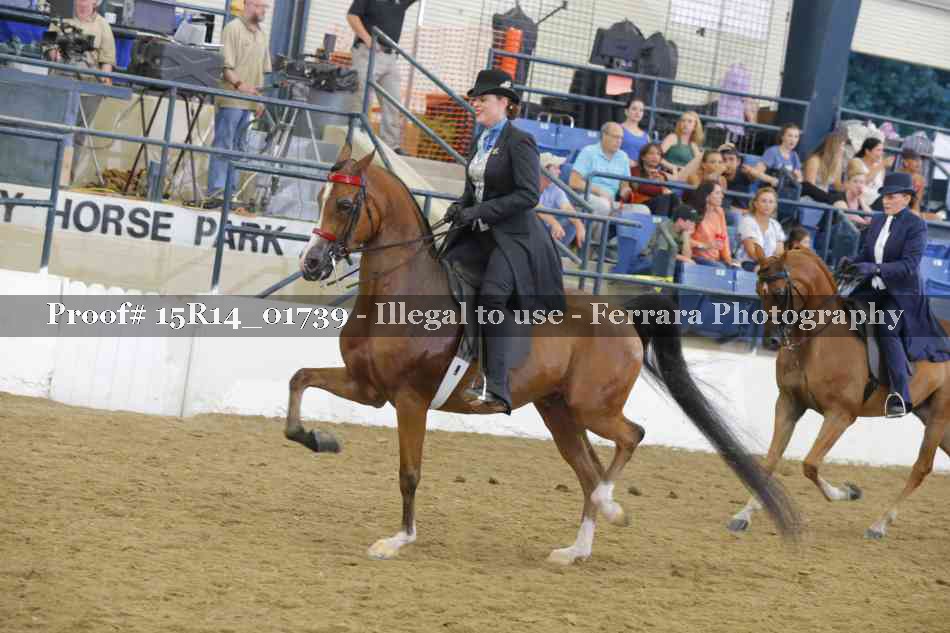 Proof 15R14_01739