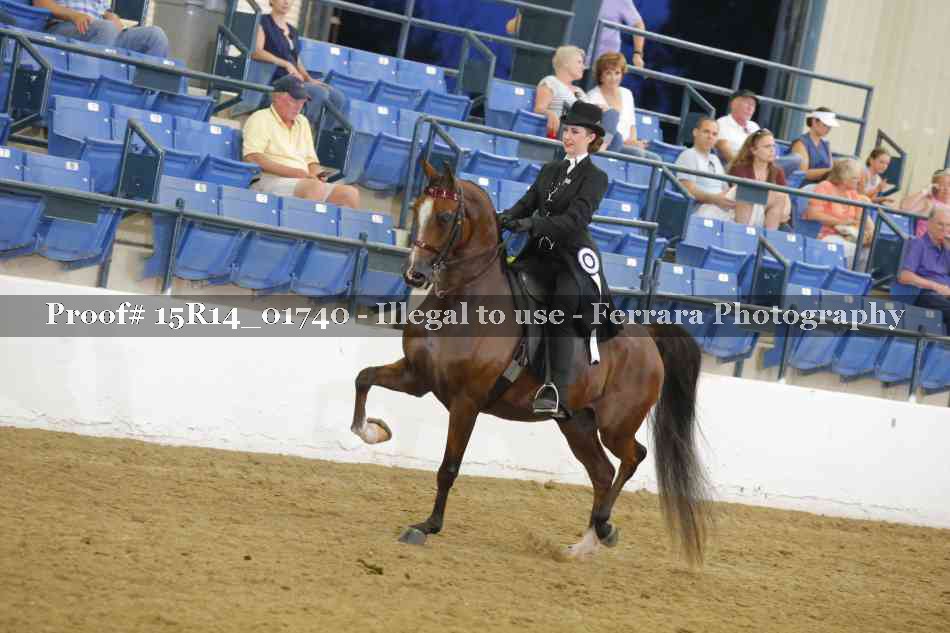 Proof 15R14_01740