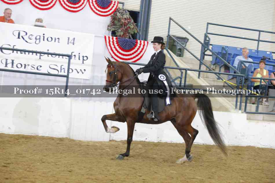 Proof 15R14_01742