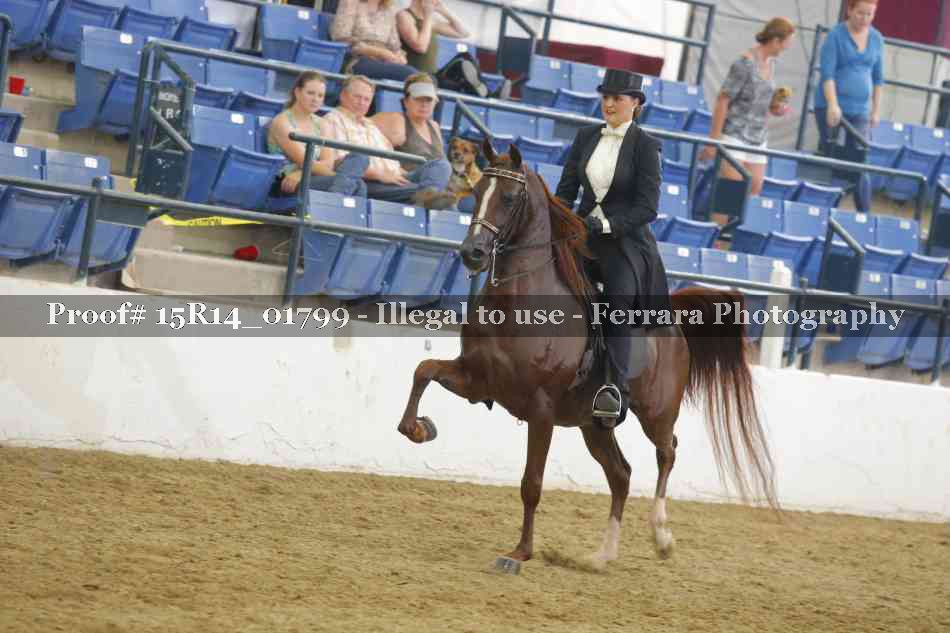 Proof 15R14_01799