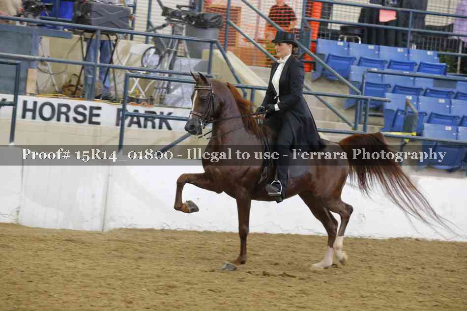 Proof 15R14_01800
