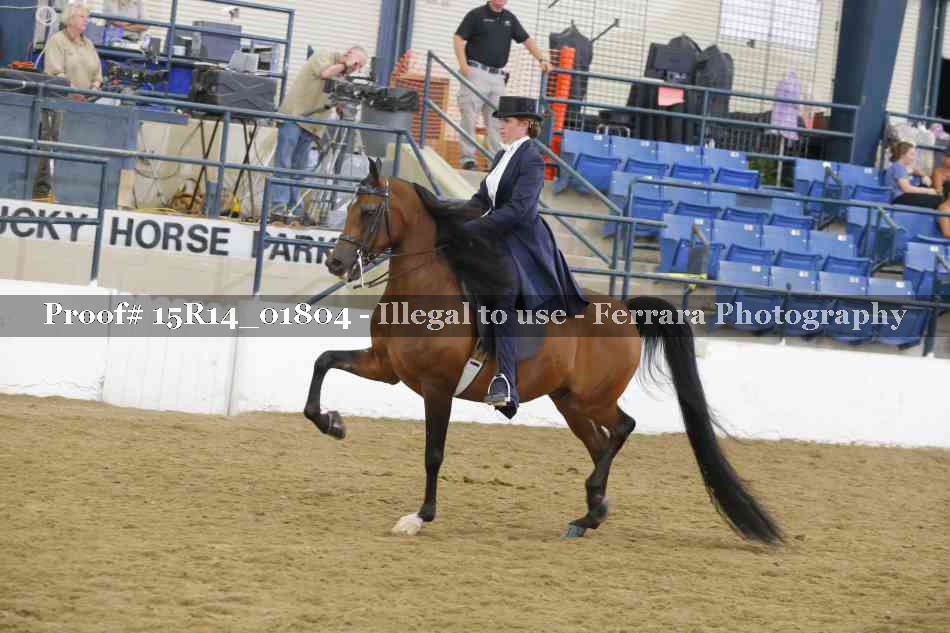 Proof 15R14_01804