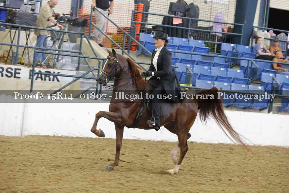 Proof 15R14_01807