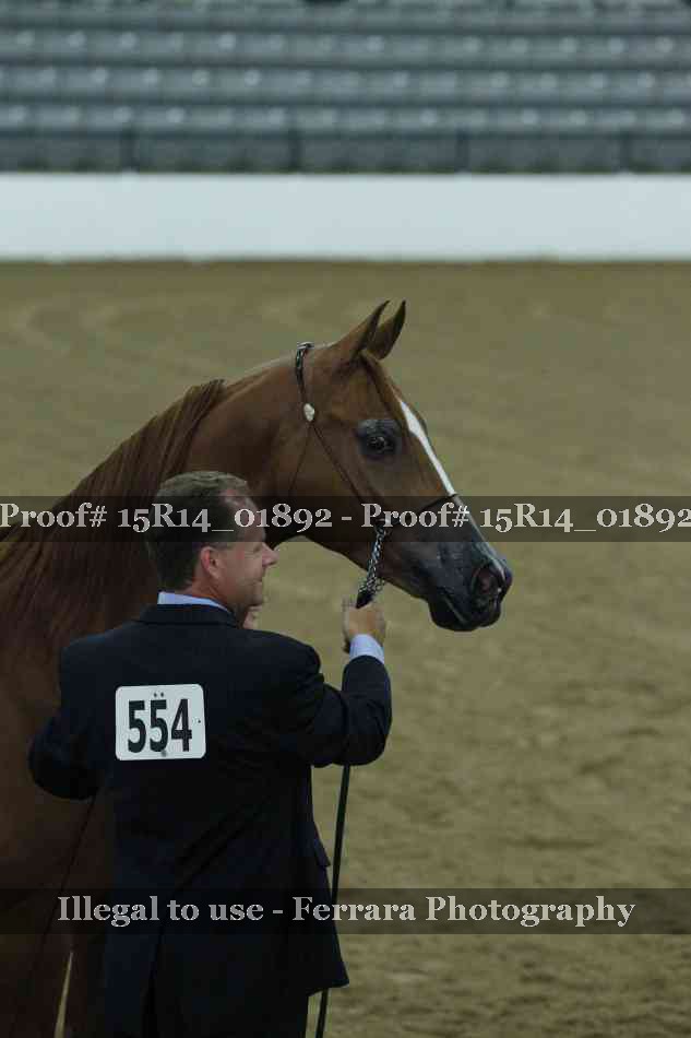 Proof 15R14_01892