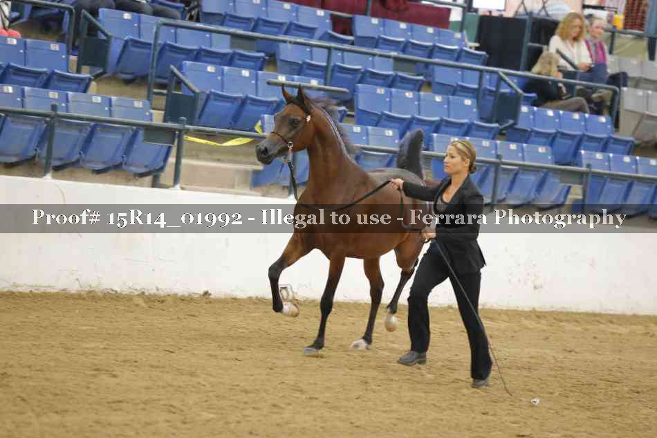 Proof 15R14_01992