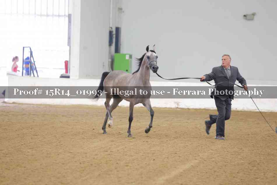 Proof 15R14_01993