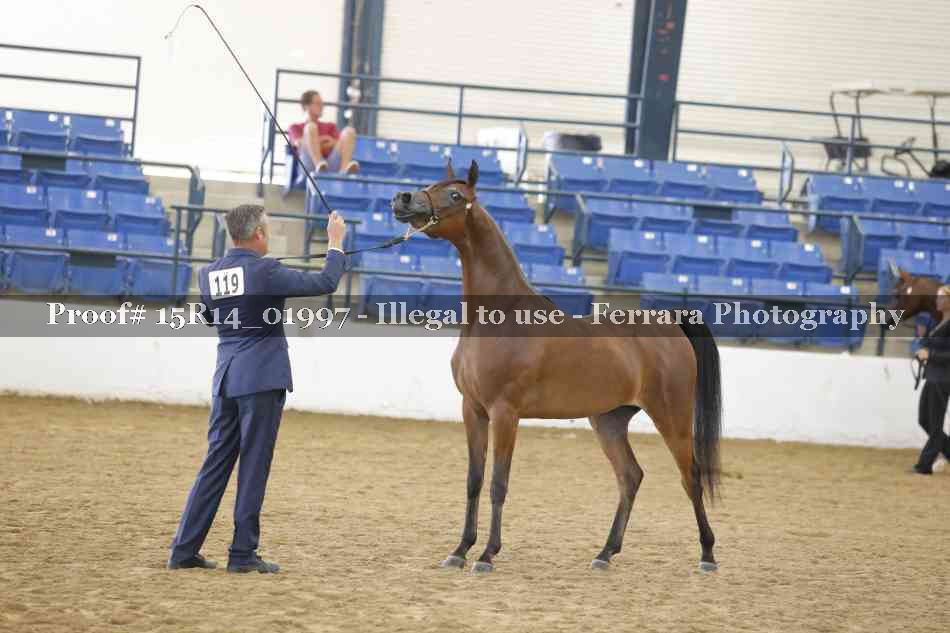 Proof 15R14_01997