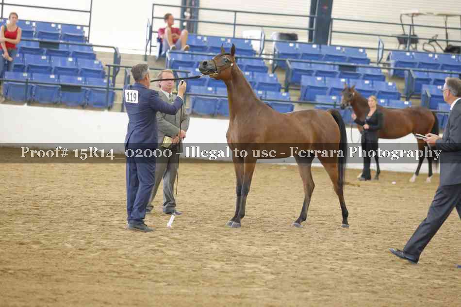 Proof 15R14_02000